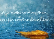 开云体育直播-费城之巅的雷霆审判，伦纳德一球定江山，书写唯一性传奇