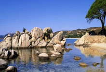 开云APP-广州男篮阳光普照，一路领先赢得胜利的简单介绍