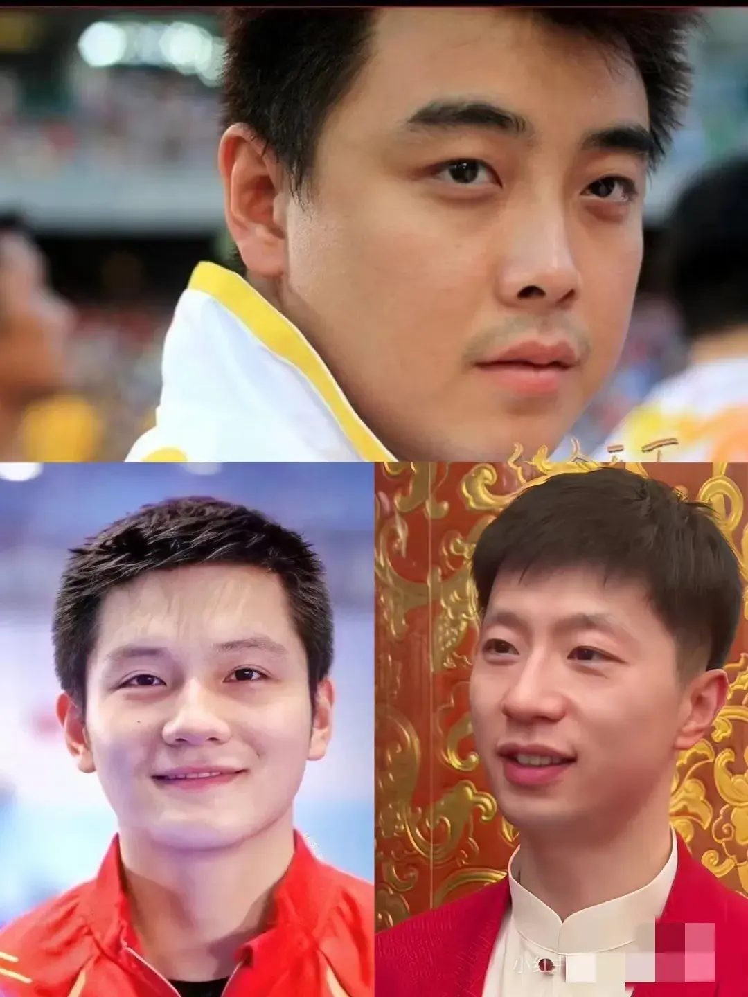 关于比利时乒乓球队碾压日本乒乓球队，马龙关键制胜的信息