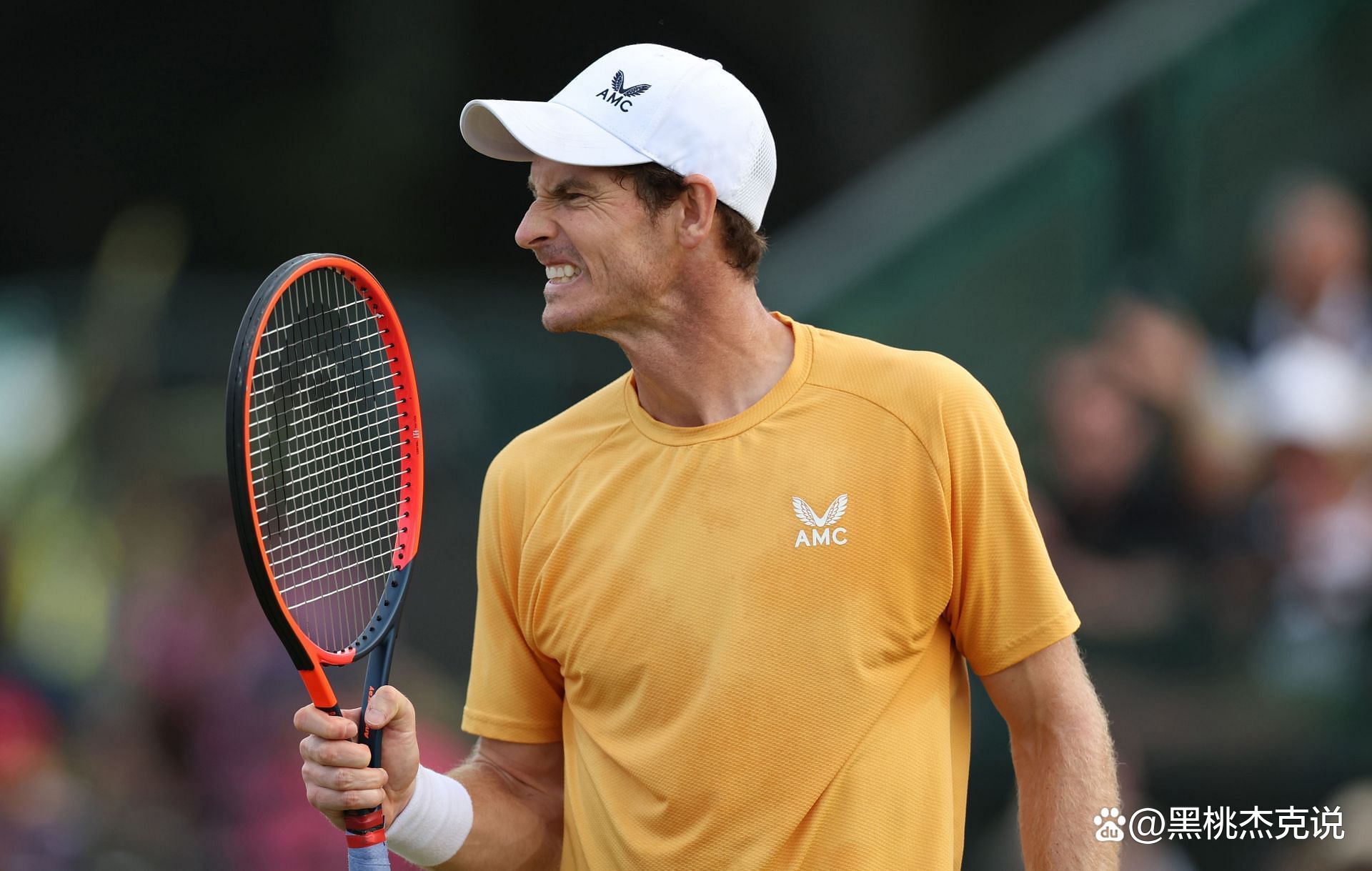 包含温网鏖战美网，穆雷高光表现的词条