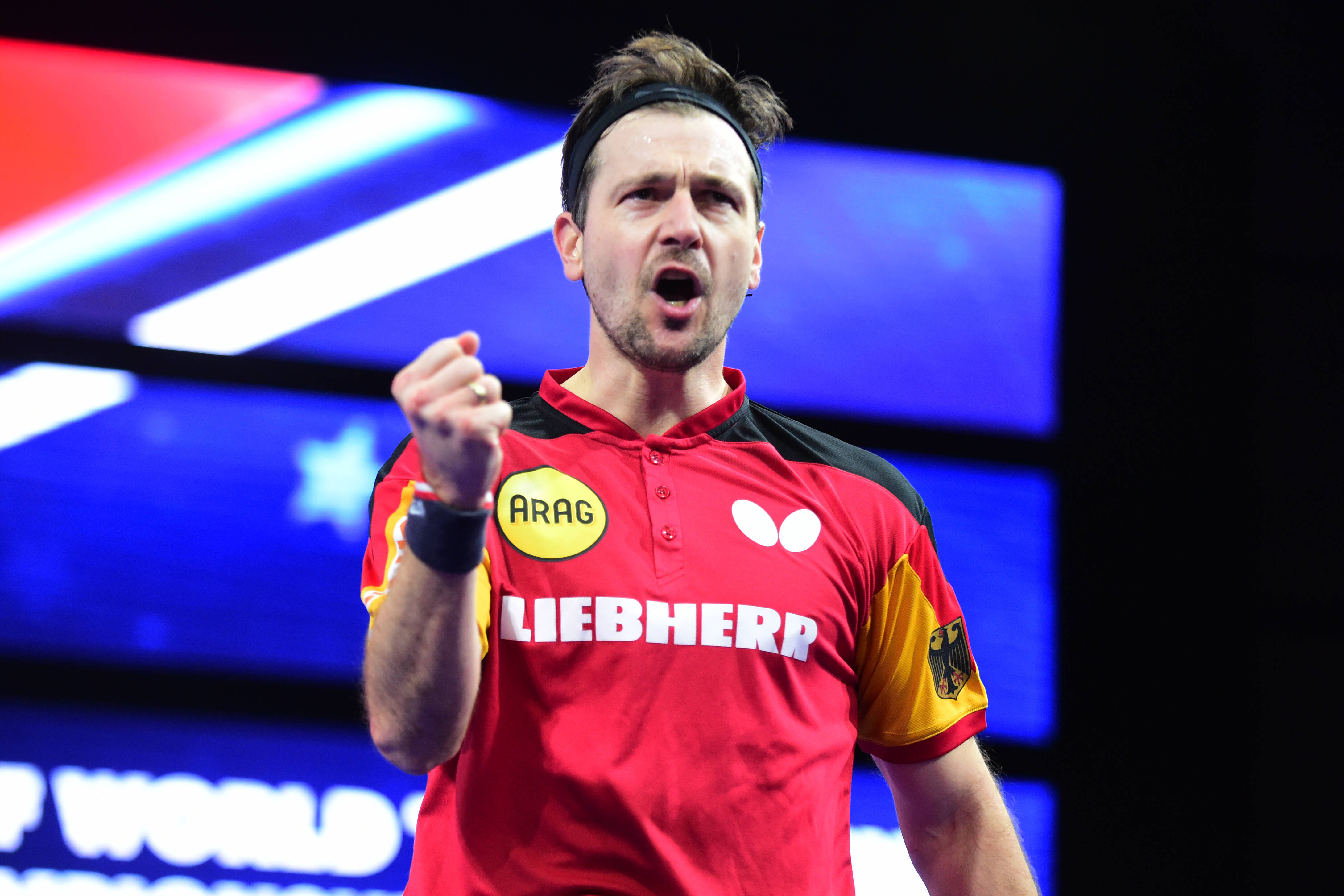 日本乒乓球队轻取英国乒乓球队，波尔惊艳世界的简单介绍