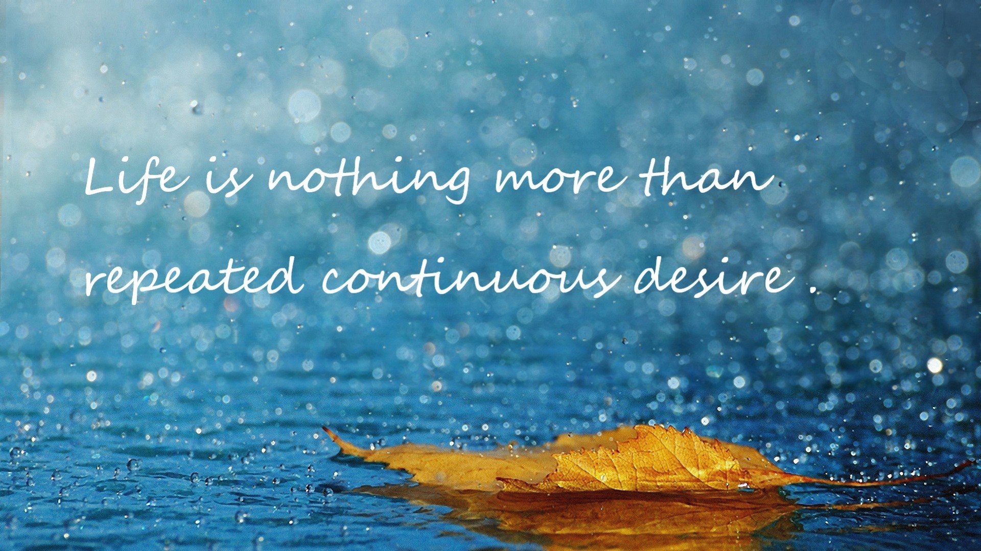 费城之巅的雷霆审判，伦纳德一球定江山，书写唯一性传奇