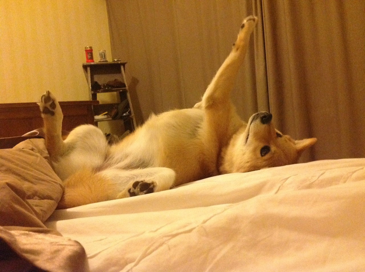 费城之巅的雷霆审判，伦纳德一球定江山，书写唯一性传奇