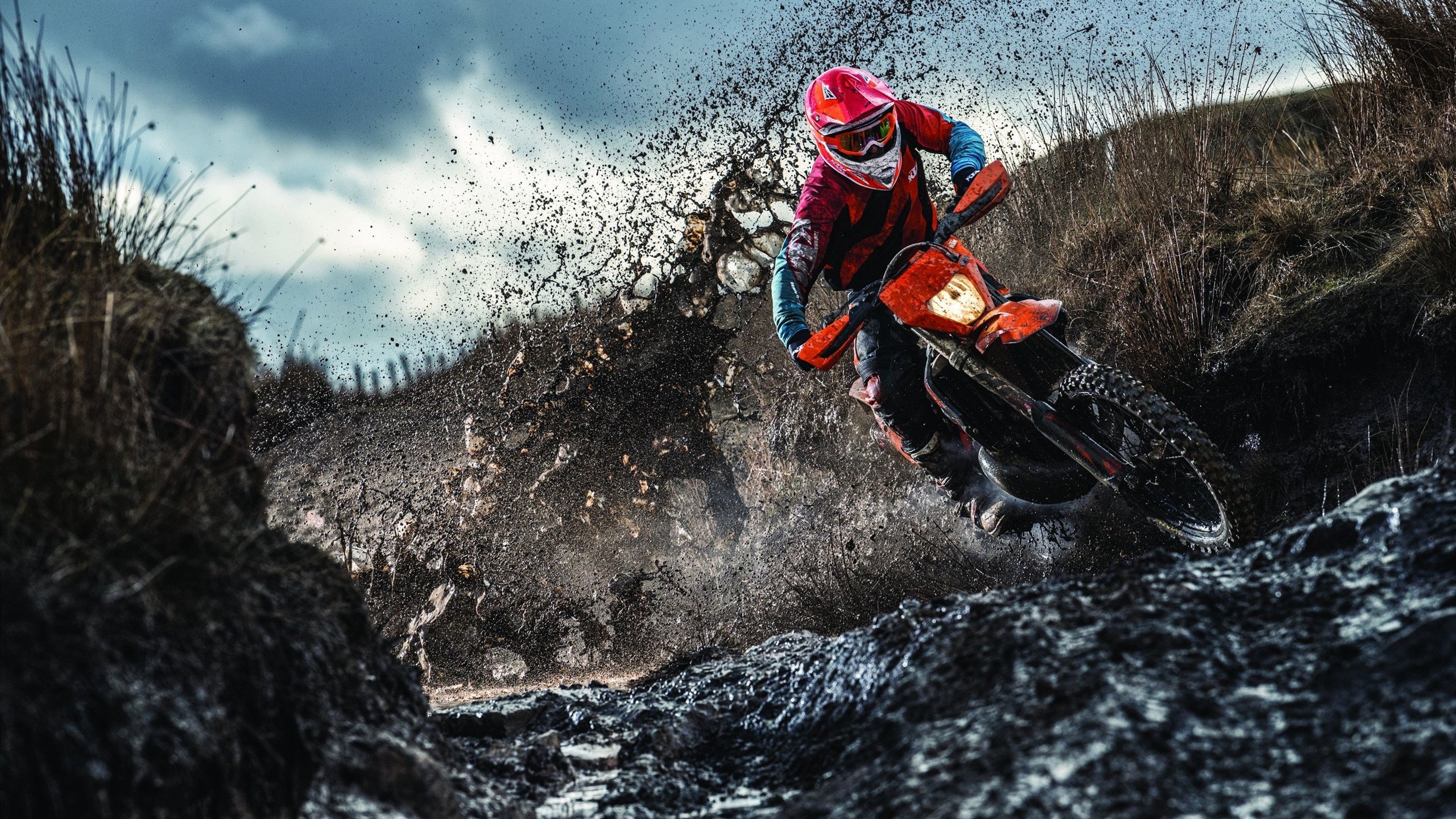 卡塔尔血拼荷兰，穆勒连续得分拉开差距，世界杯赛场上的战术与意志对决